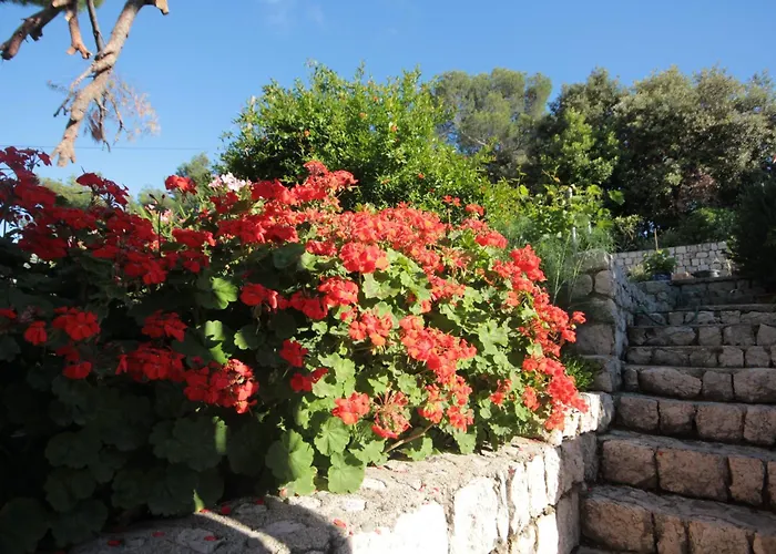 Apartment With A Parking Space Cibaca, Dubrovnik - 8998 *