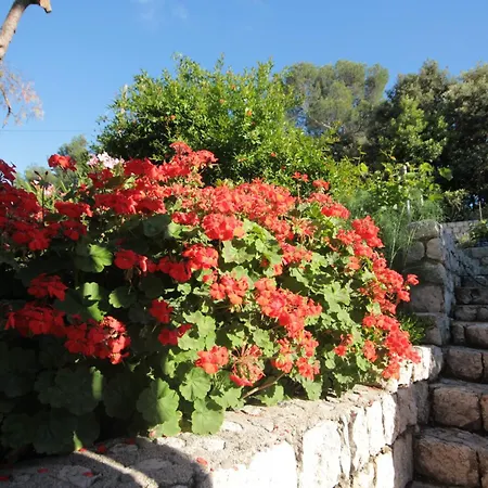 Appartement With A Parking Space Cibaca, Dubrovnik - 8998 *
